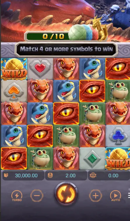 واجهة فقس التنين